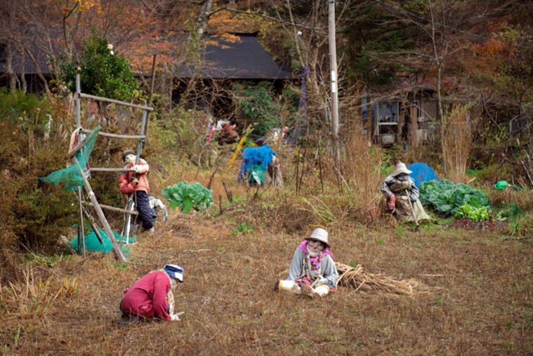 Bu köye gelenler gözlerine inanamıyor: Tüyler ürperten manzara! Hepsi yetişkin insan boyutlarında 16
